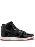 Nike Zoom Dunk High